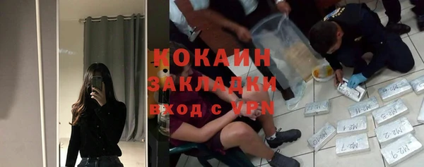 винт Арсеньев