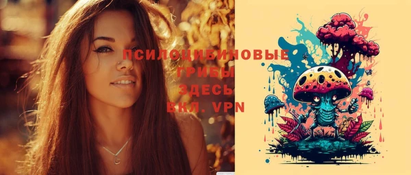 ECSTASY Армянск
