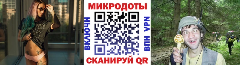 blacksprut как зайти  Усинск  Псилоцибиновые грибы мицелий 